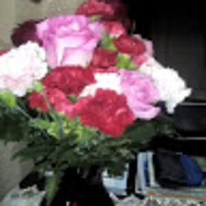 Meet your Posher, Lorraine